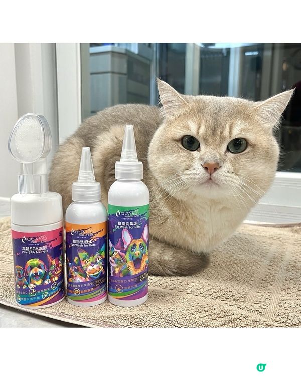 眾所周知 屁屁超級帥🤵‍♂️✨ 