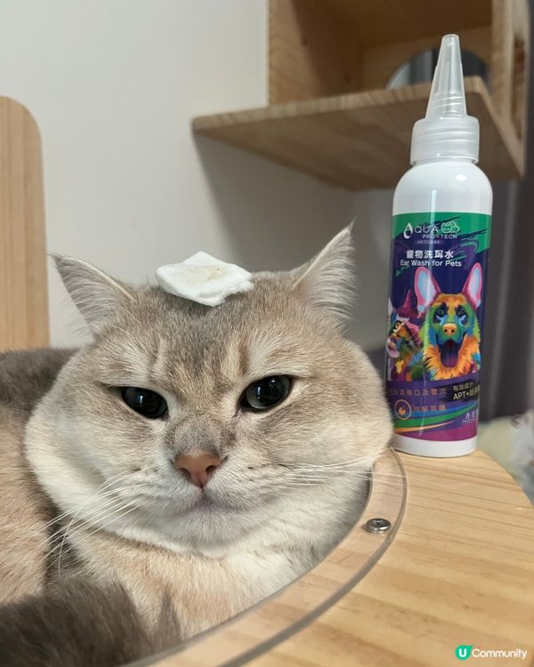 眾所周知 屁屁超級帥🤵‍♂️✨ 