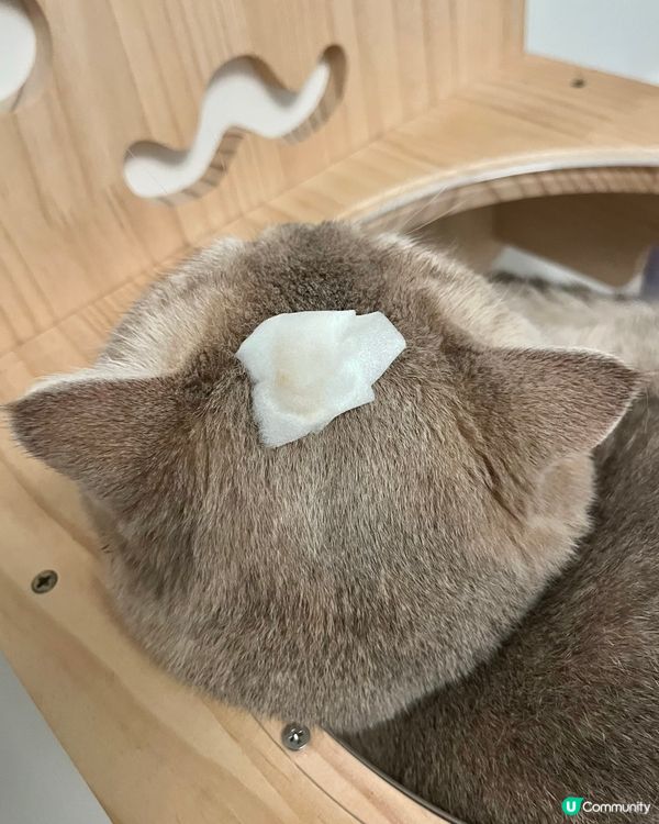 眾所周知 屁屁超級帥🤵‍♂️✨ 