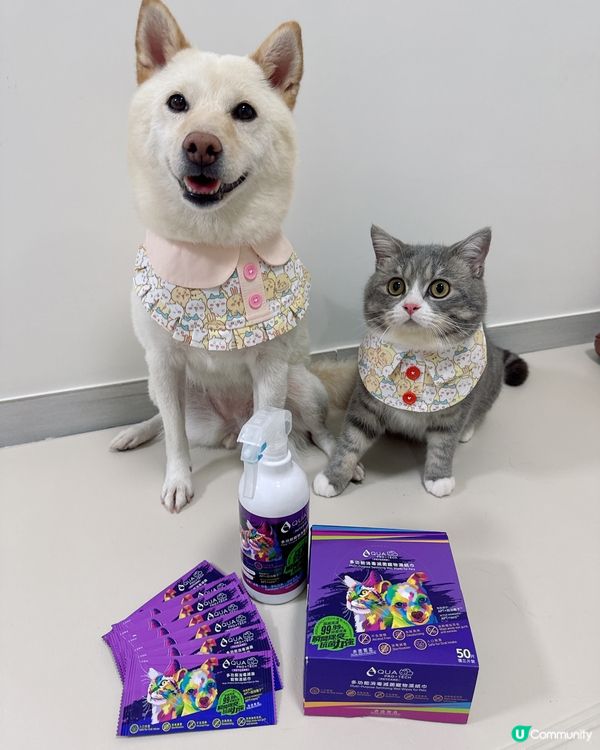 貓狗清潔必備套裝👏🏻👏🏻👏🏻