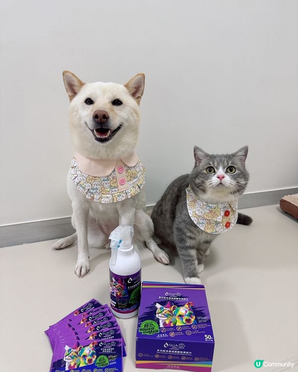 貓狗清潔必備套裝👏🏻👏🏻👏🏻