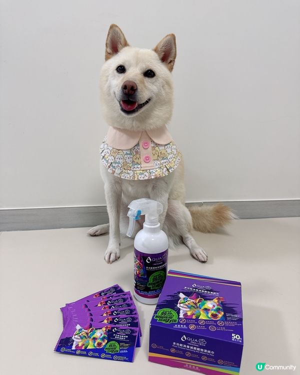 貓狗清潔必備套裝👏🏻👏🏻👏🏻