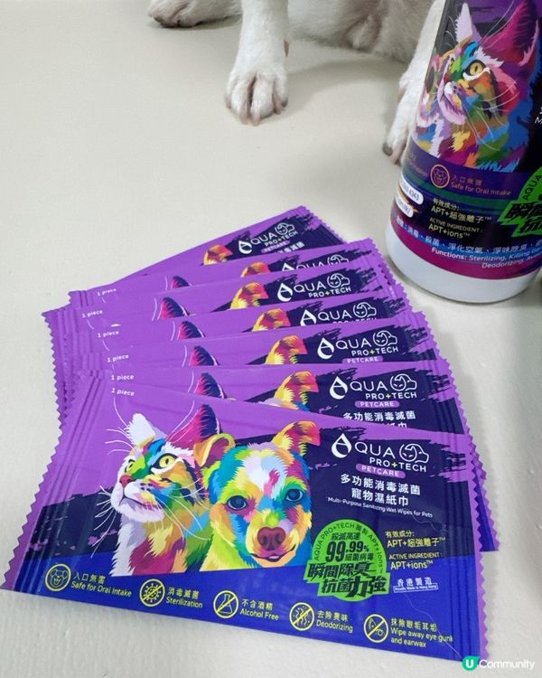 貓狗清潔必備套裝👏🏻👏🏻👏🏻