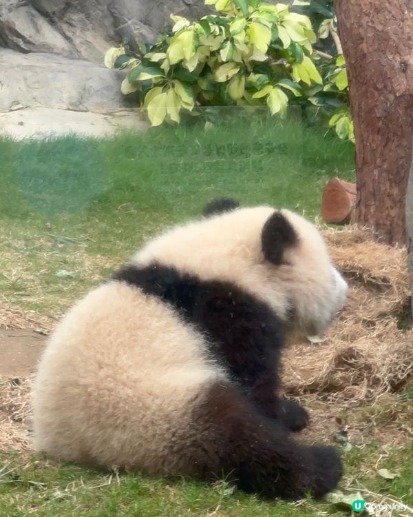 終於見到家姐本人啦🩵