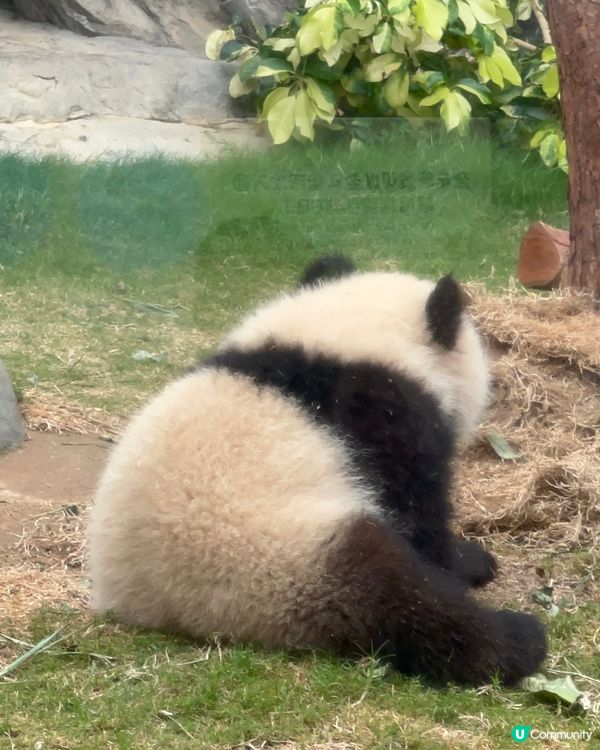 終於見到家姐本人啦🩵