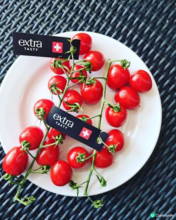 《車厘茄的獨特味道》🥰