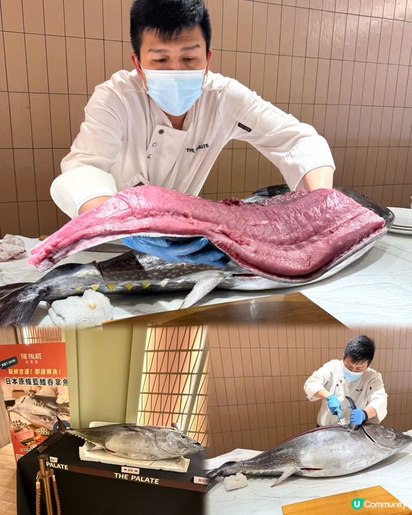 🌟超豐盛長腳蟹､生蠔､龍蝦､日本和牛盛宴✨