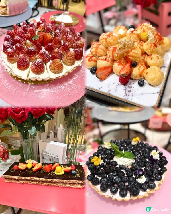 🌟超豐盛長腳蟹､生蠔､龍蝦､日本和牛盛宴✨