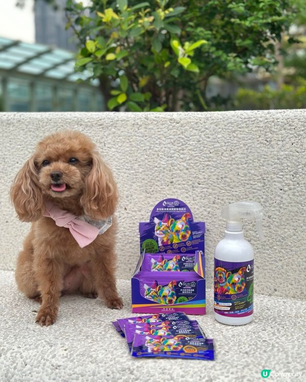 叮叮好物分享🫶🏻