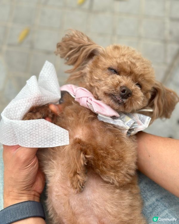 叮叮好物分享🫶🏻