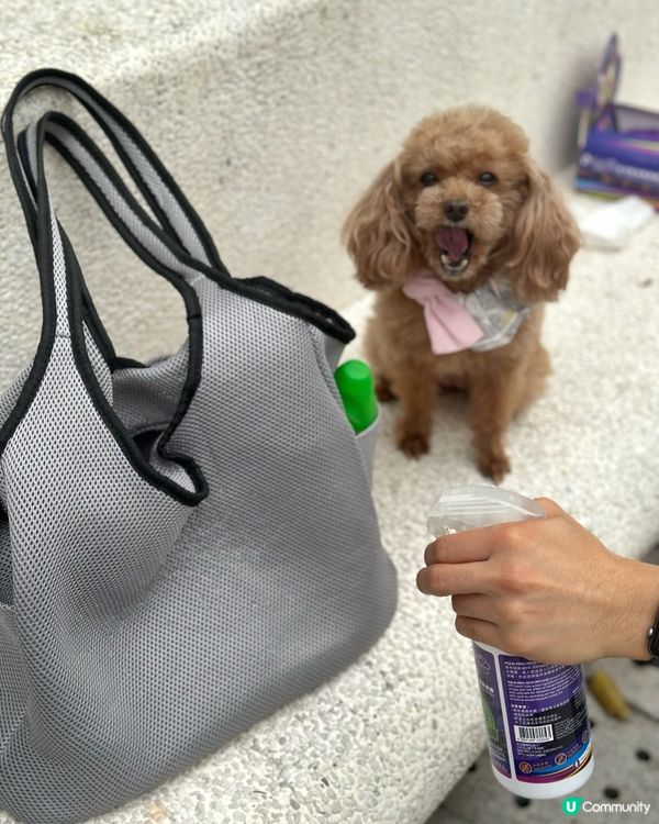 叮叮好物分享🫶🏻