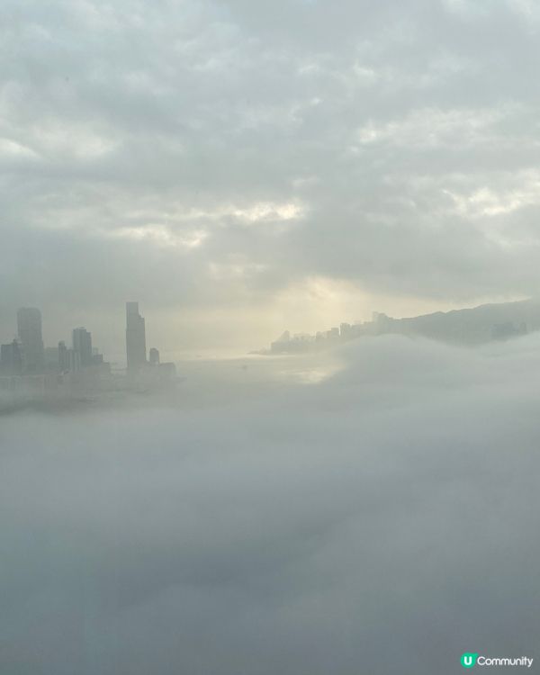 香港霧好靚