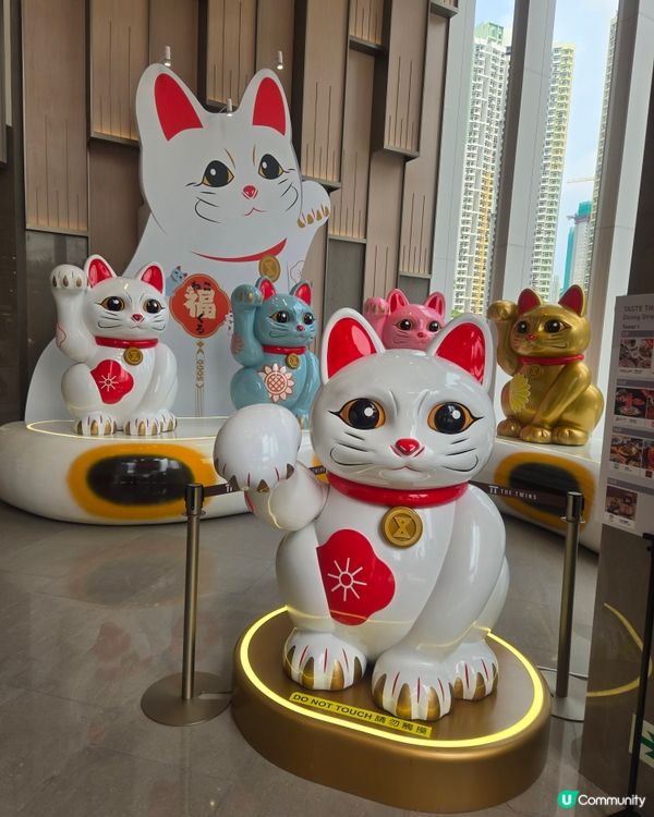 #UCreator #打卡美食 #好去處 #全新景點 #沉醉...