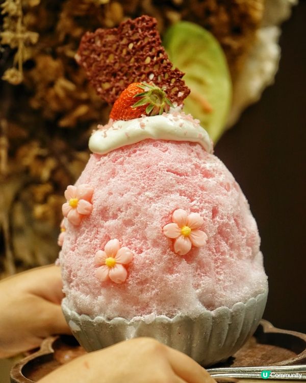 圓方打卡新地標 ☕️🌸 韓系文青咖啡店