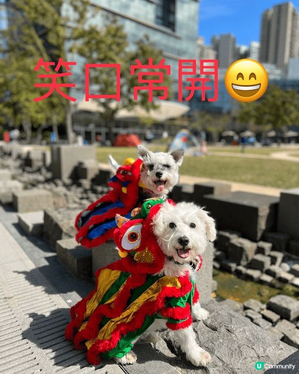 數碼港很適合帶毛孩去放電，環境很優美令人和狗都可以放鬆心情，...