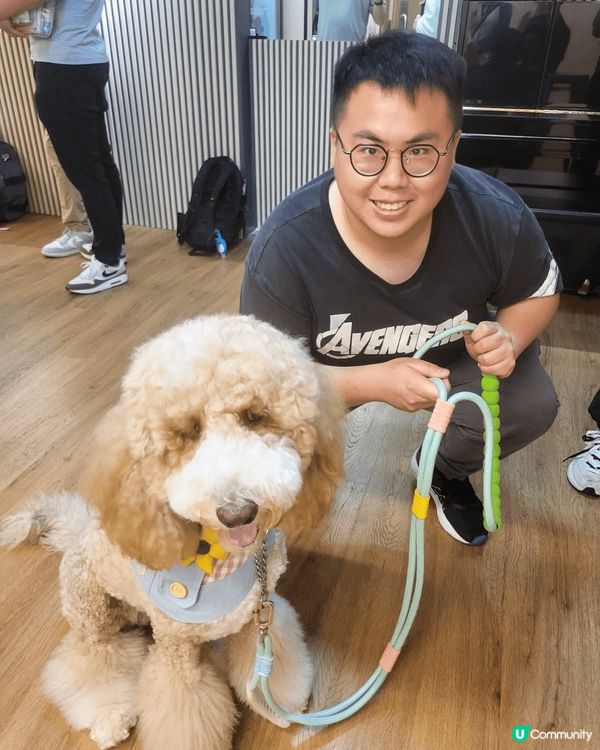 全部都係可愛兼聰明討人歡心的小狗狗！其中一隻是我本人的！其餘...