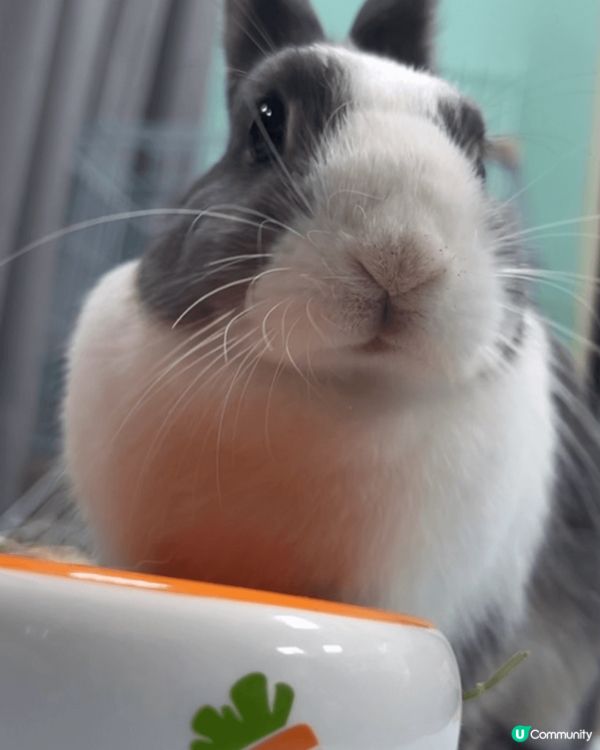 佢叫娜娜～平時鐘意攤攤，有時都會發下脾氣，但整體係都係sel...