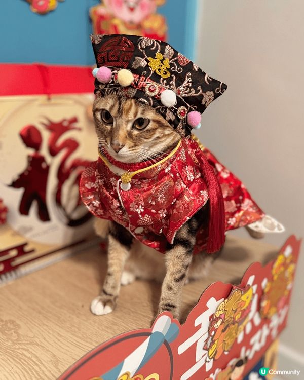 嘩哈哈！呢幾張係我聖誕節同新年，我媽咪幫我買新衫打扮靚靚嘅#...