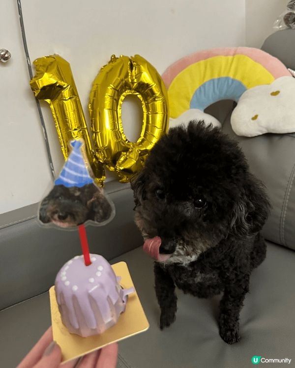 屋企好多貓狗，每日都要消毒殺菌確保毛孩健康成長，但都比佢哋嘅...