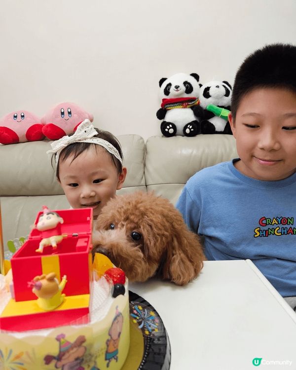 為食狗狗一齊慶祝妹妹2歲半生日，仲想搶頭啖湯搶先試食生日蛋糕...