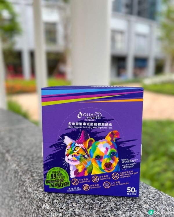 皮哥成日出街,出親去都捐草地又瞓地下,無可能次次去完街都沖涼...