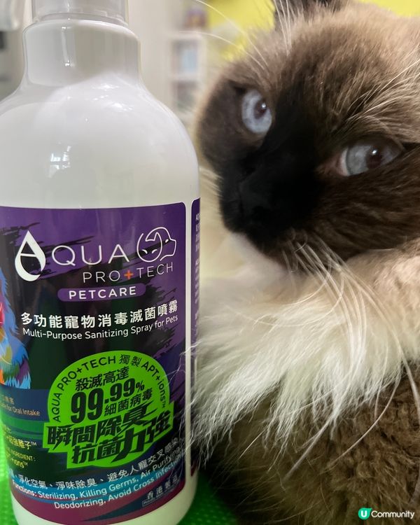 皮哥成日出街,出親去都捐草地又瞓地下,無可能次次去完街都沖涼...