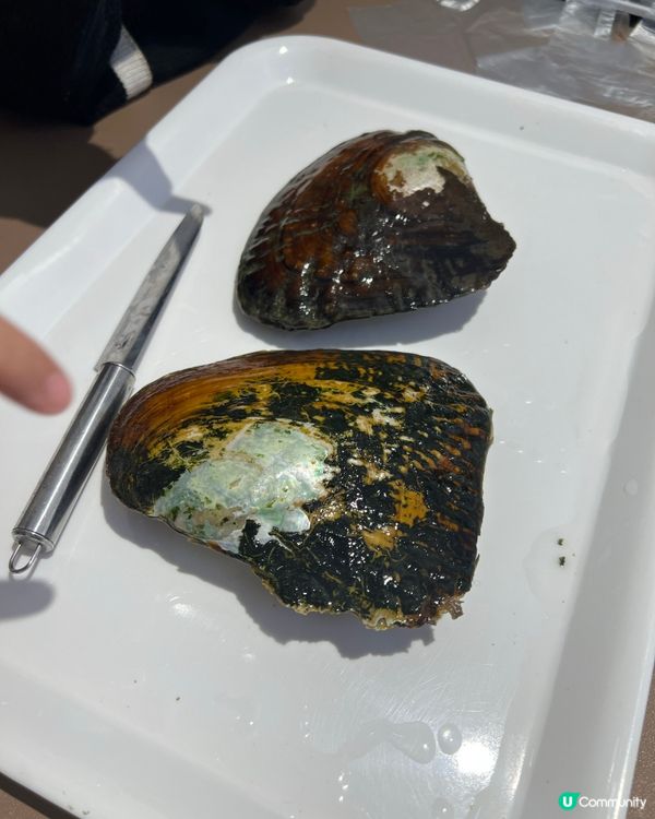 珠海爆珠體驗！開蚌DIY珍珠首飾＋銀戒親子必玩🤩！