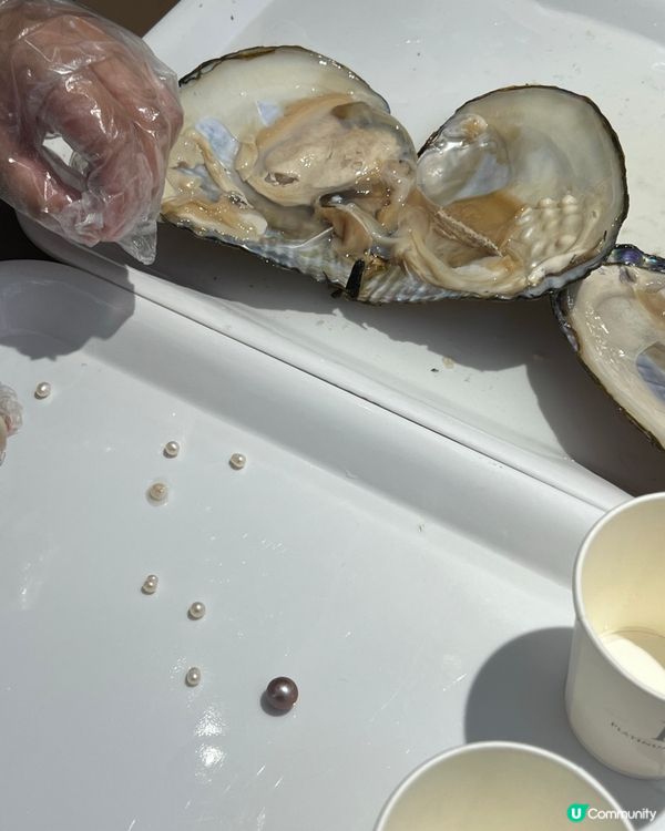 珠海爆珠體驗！開蚌DIY珍珠首飾＋銀戒親子必玩🤩！