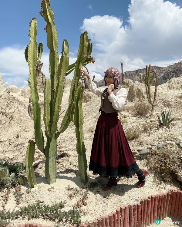 ［南美洲旅遊］玻利維亞🇧🇴月亮谷