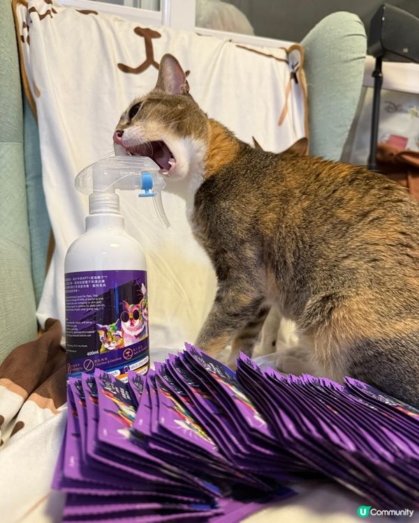 Apt petcare 寵物護理入門套裝試用