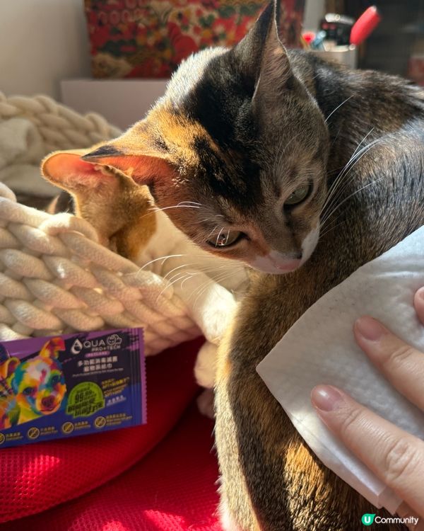 Apt petcare 寵物護理入門套裝試用