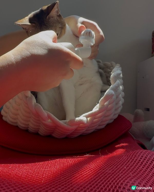 Apt Petcare PETPET 洗護套裝試用