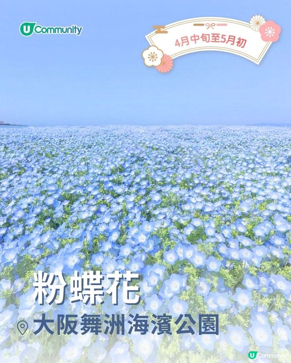 【2025日本賞花攻略🌸】4至6月賞花熱點一覽💕