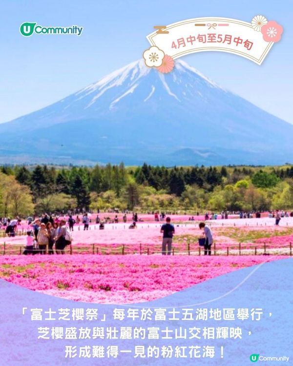 【2025日本賞花攻略🌸】4至6月賞花熱點一覽💕