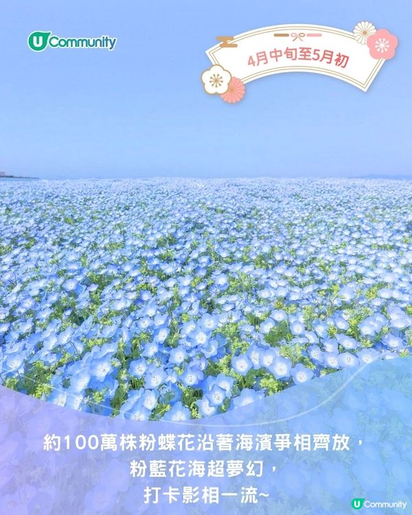【2025日本賞花攻略🌸】4至6月賞花熱點一覽💕