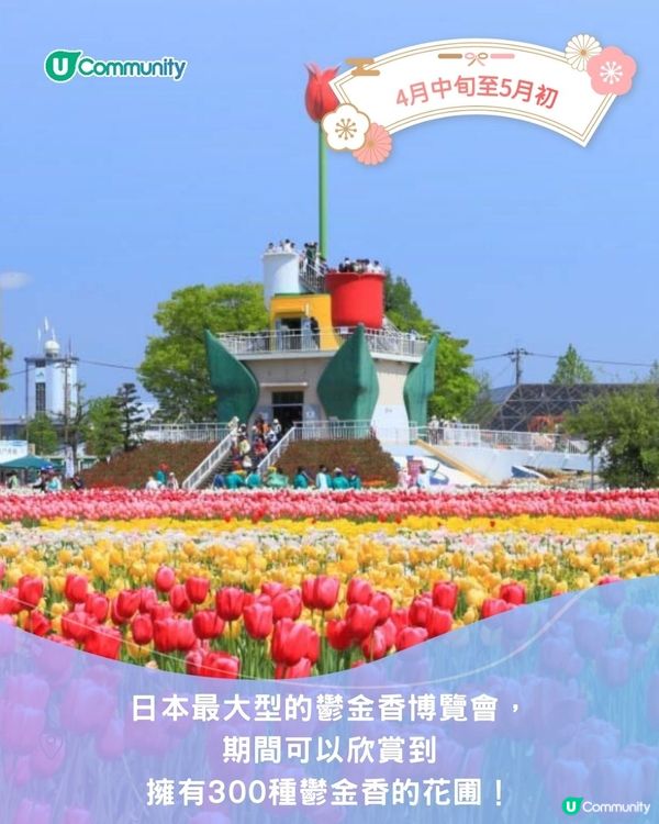 【2025日本賞花攻略🌸】4至6月賞花熱點一覽💕