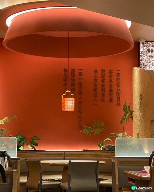 ✨深圳🇨🇳-💬⚠️⁉️竟它是必點菜⁉️💢 性價比高客家菜⁉️📍客家本色