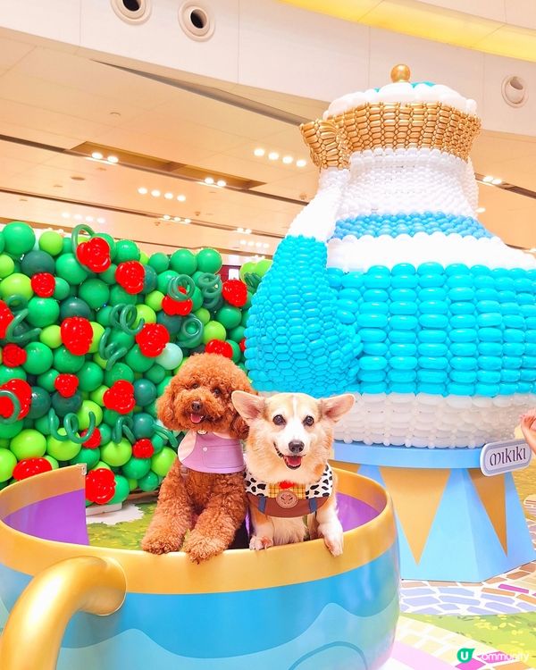 Oppa & Alex 走進《愛麗絲夢遊仙境！🎈🐰