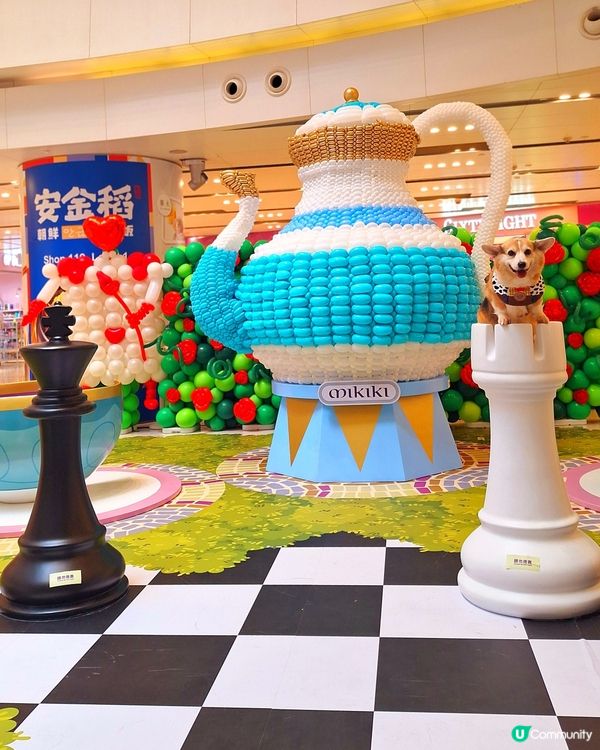 Oppa & Alex 走進《愛麗絲夢遊仙境！🎈🐰