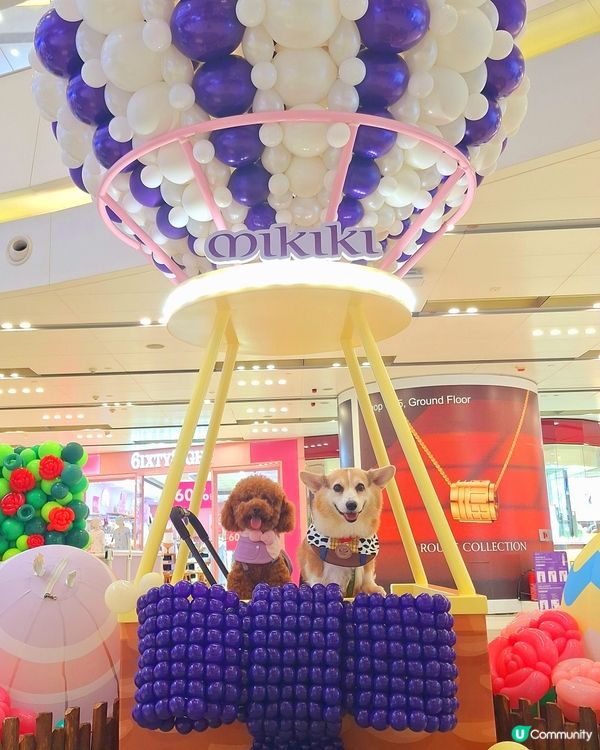 Oppa & Alex 走進《愛麗絲夢遊仙境！🎈🐰