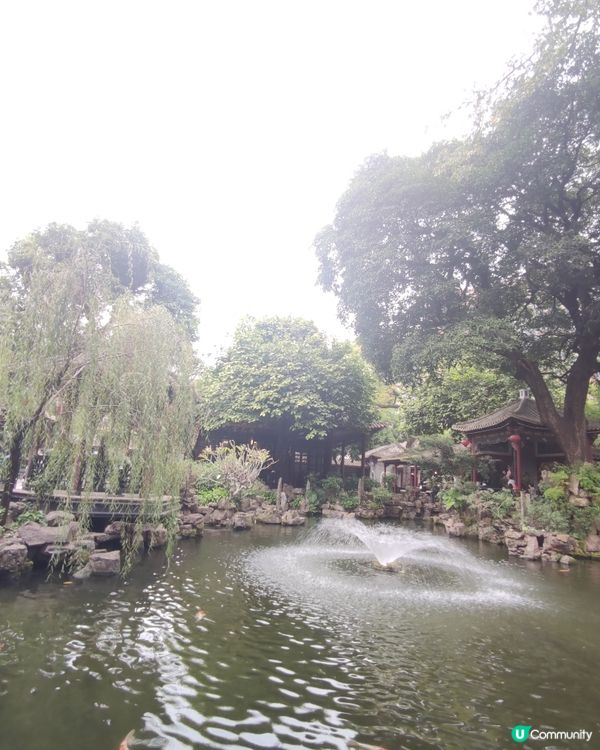 郊外錦鯉池打卡📸  正到爆燈！🔥