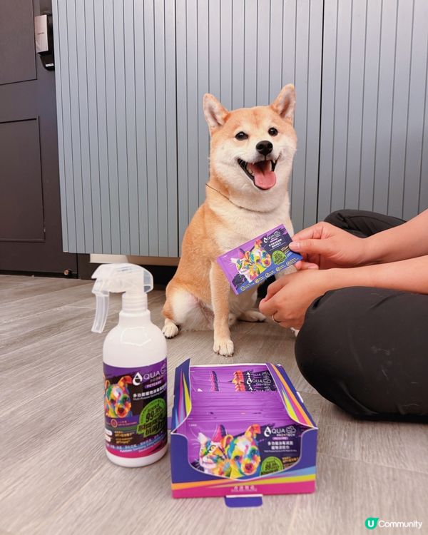 【毛孩 | 日常清潔神器】一瓶搞定全家清潔✨🐱🐶