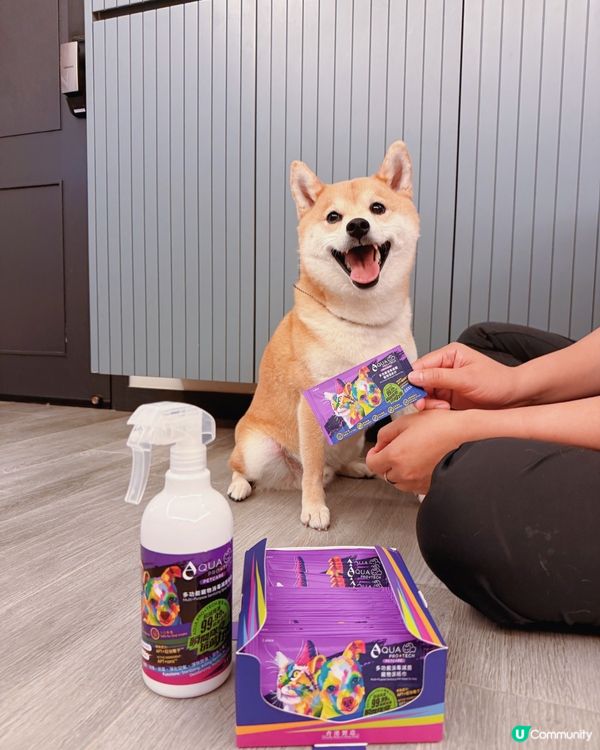 【毛孩 | 日常清潔神器】一瓶搞定全家清潔✨🐱🐶