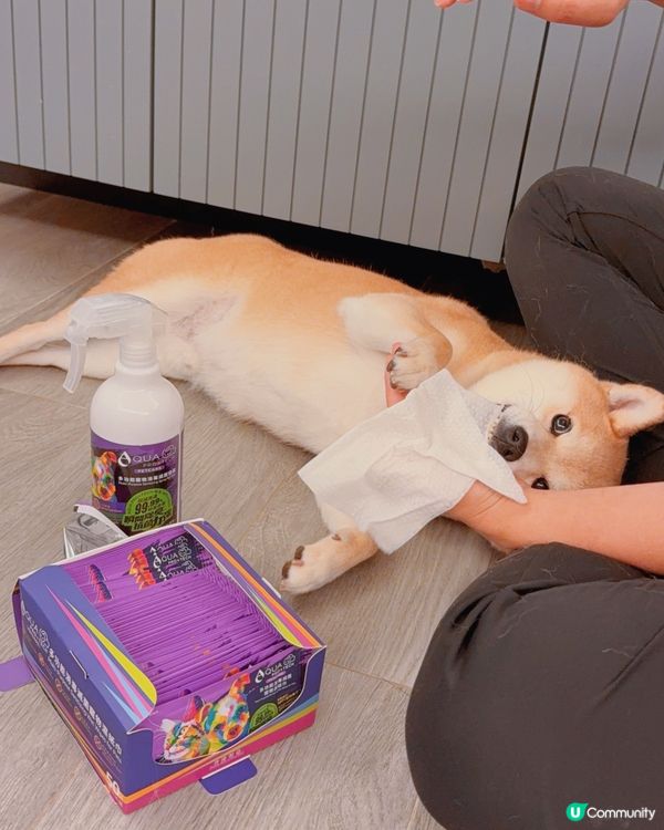 【毛孩 | 日常清潔神器】一瓶搞定全家清潔✨🐱🐶