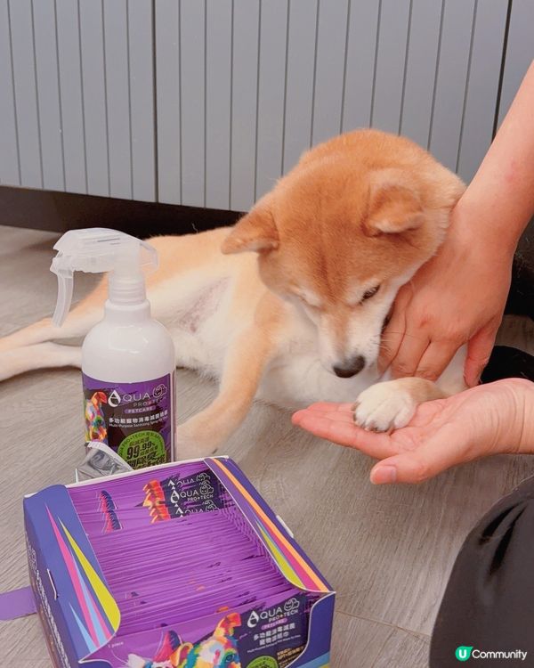 【毛孩 | 日常清潔神器】一瓶搞定全家清潔✨🐱🐶