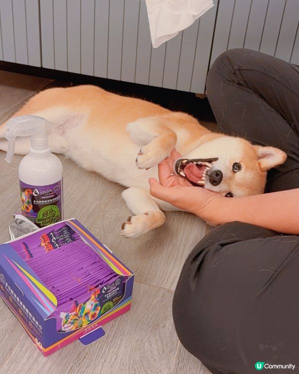 【毛孩 | 日常清潔神器】一瓶搞定全家清潔✨🐱🐶