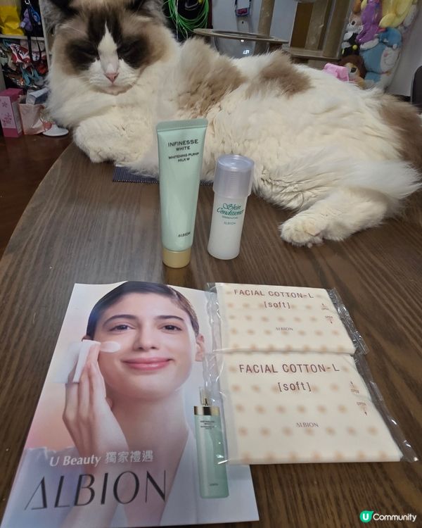 Albion 先乳後水日系保養品