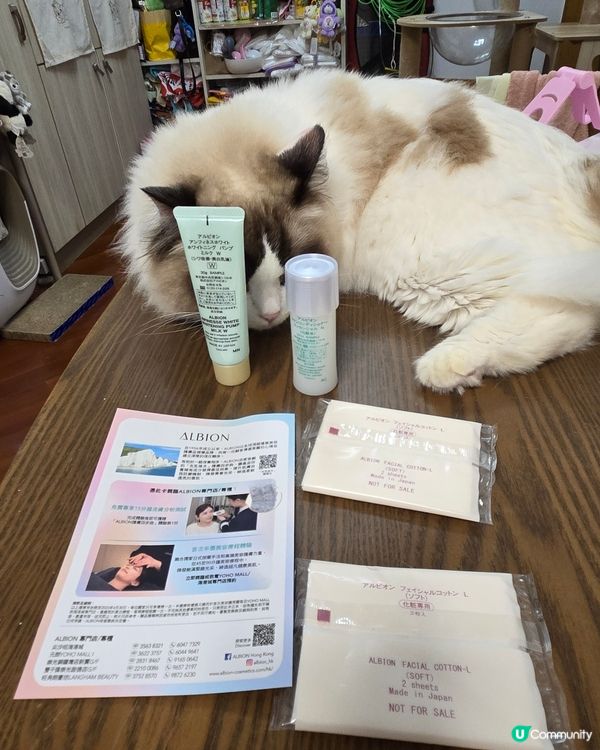 Albion 先乳後水日系保養品