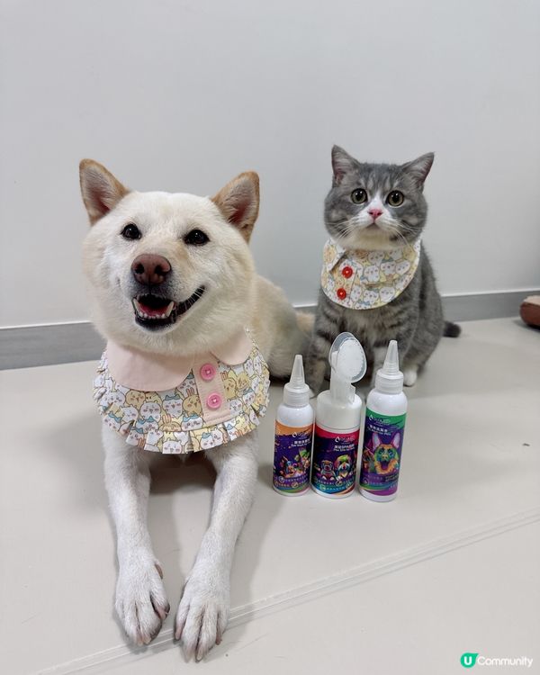 薏米咁開心攬住啲咩？！