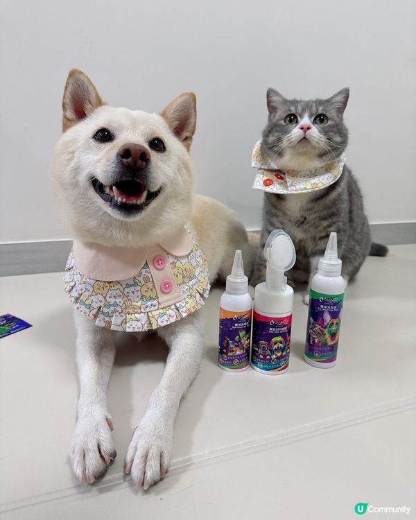 薏米咁開心攬住啲咩？！